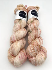 Silky Lace: Coquinas